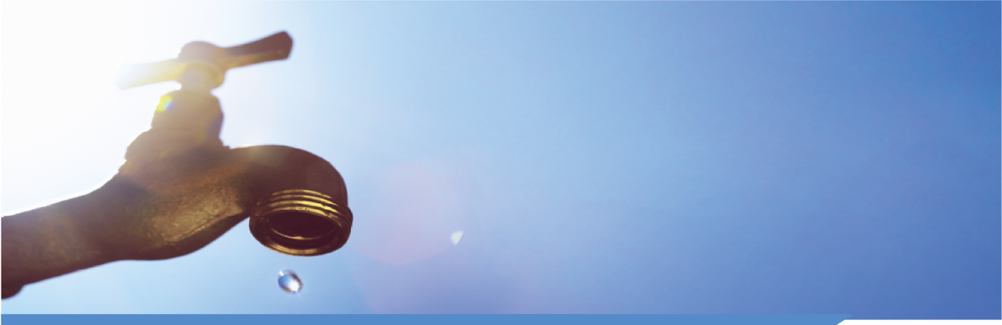 waterwiseheader