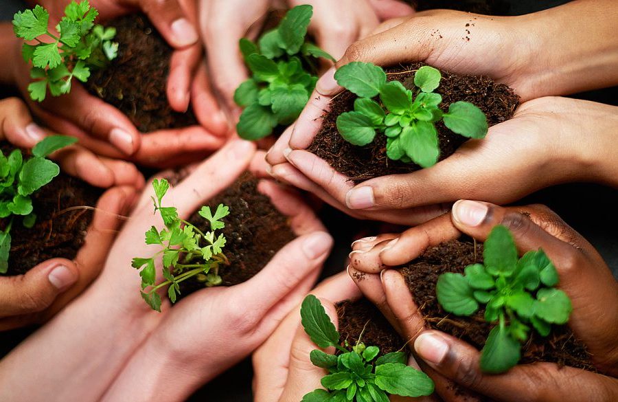 sustainable behavior change