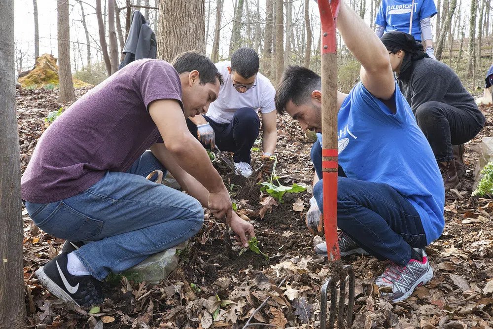 what is civic participation